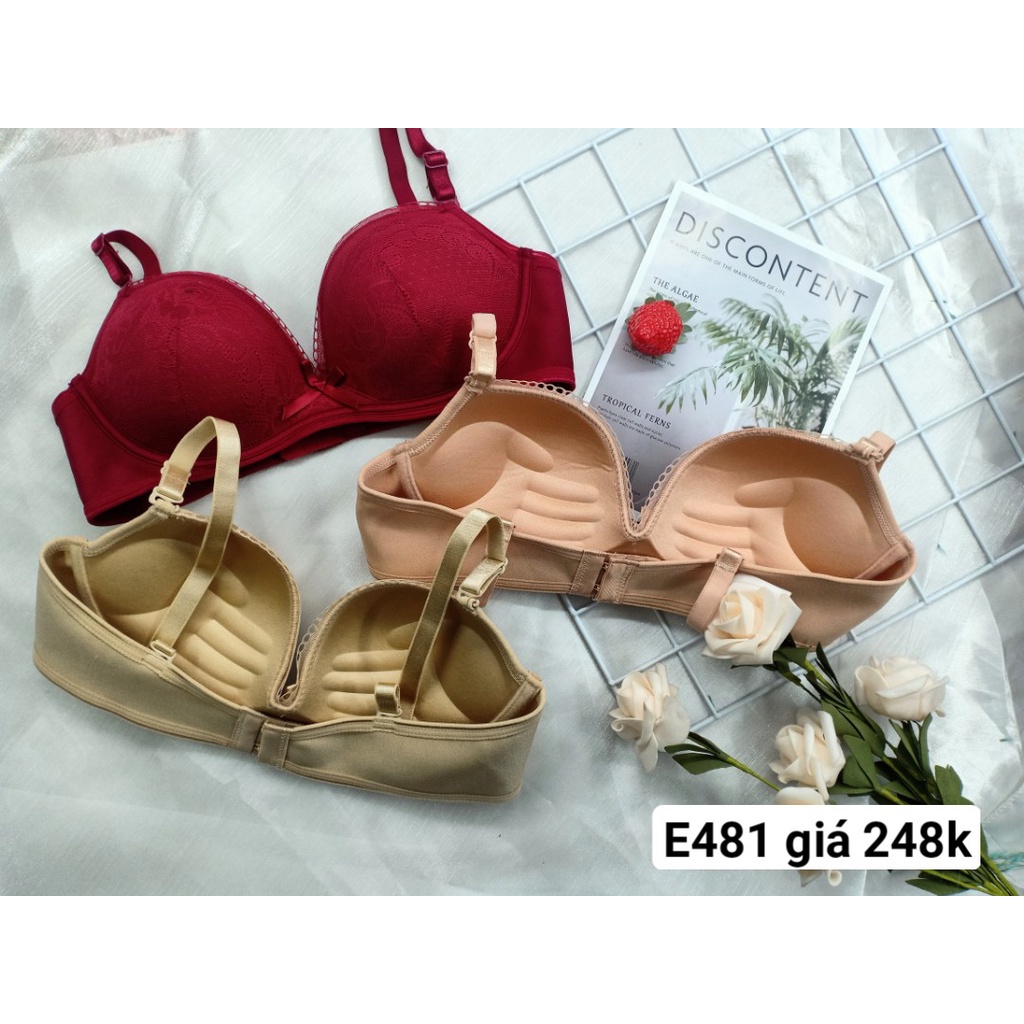 Áo Ngực Không Gọng, Áo Lót Mút Vừa E481 - Thương Hiệu 12H