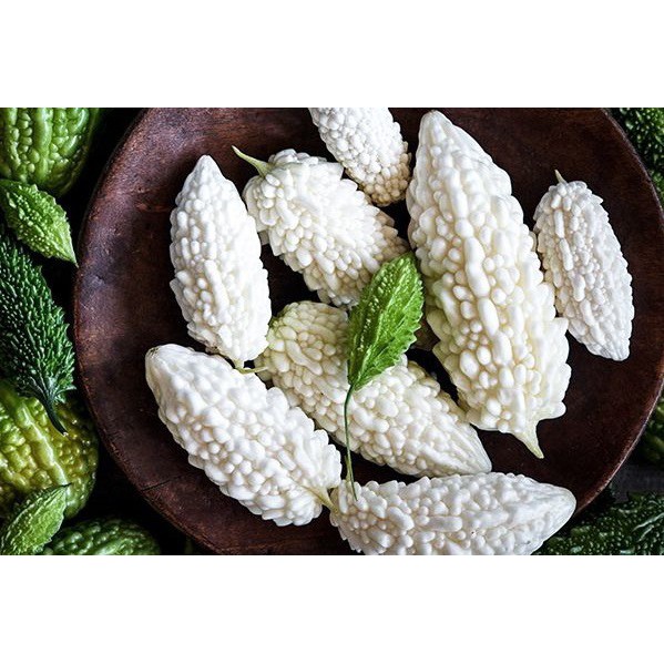 hạt giống mướp đắng trắng khổ qua trắng cực dễ trồng gói 5 hạt, MỚI LẠ, ĂN NGON