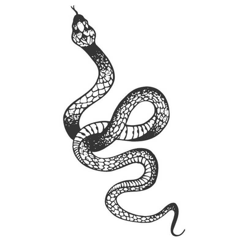 Nếu bạn đam mê hình xăm, thì hình xăm con rắn sẽ khiến bạn tò mò. Ảnh này sẽ cho bạn tận mắt chứng kiến một bức tranh lụa bao gồm một con rắn tuyệt đẹp. Các chi tiết tinh vi và sắc nét sẽ khiến bạn bị mê hoặc bởi nó.
