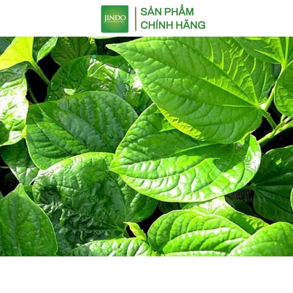 [Mã BMTTC60K giảm đến 60K đơn 50K] Lá lốt khô cao cấp JINDO 1kg