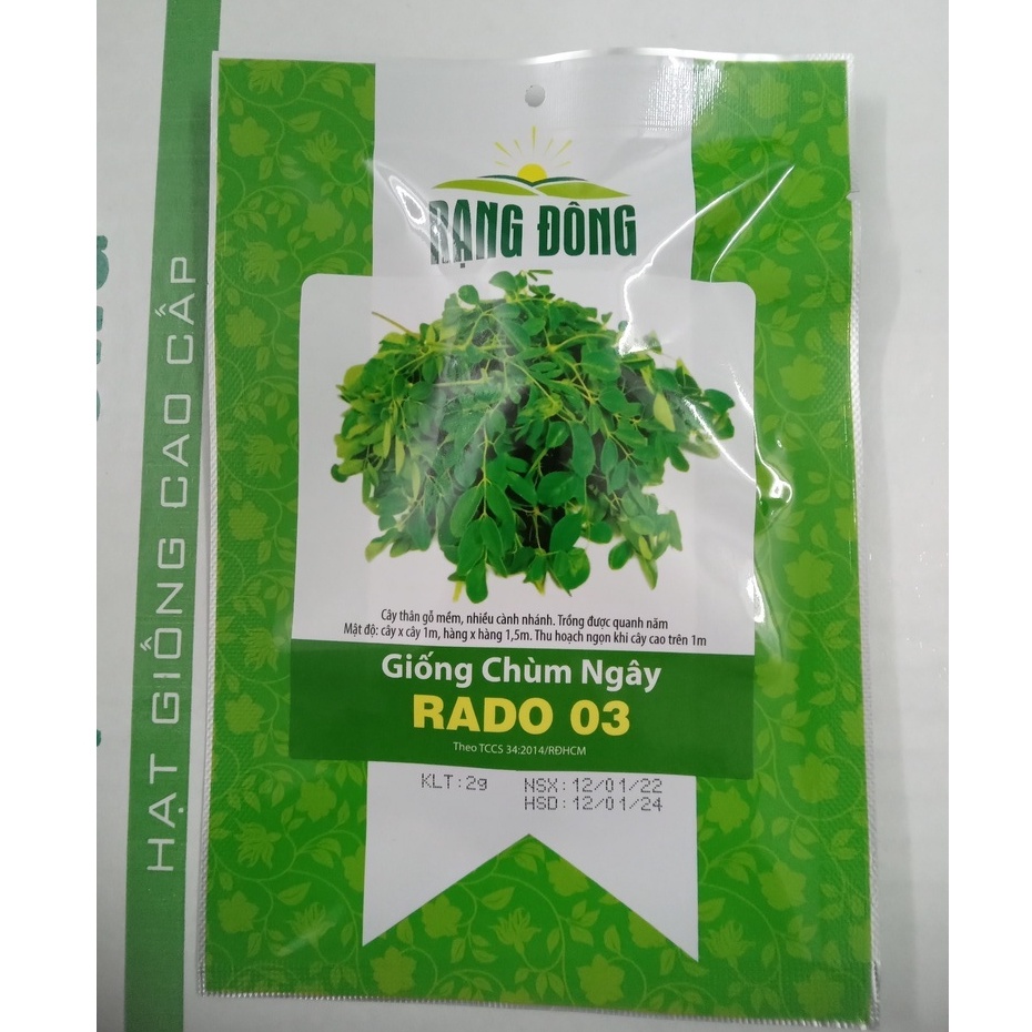 Hạt giống rau Chùm ngây (2gr hạt) | Shopee Việt Nam