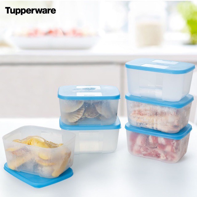 [NEW TUP] Hộp trữ đông Tupperware Freezermate 650ml - Hàng chính hãng - Nhựa nguyên sinh, an toàn