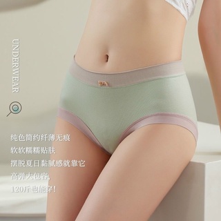 COMBO 10 QUẦN COTTON NÂNG MÔNG MẪU MỚI
