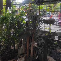 khanhlong878787