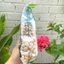 Đậu gà hữu cơ Organic Chickpea hạt to mẩy