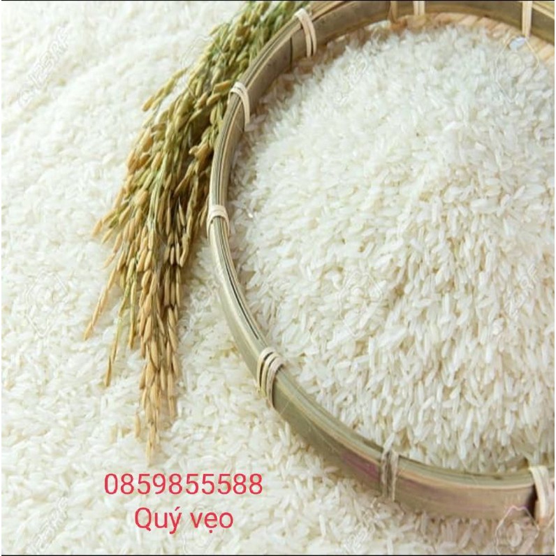 4. Giá trị dinh dưỡng và lợi ích sức khỏe