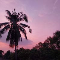 huynhmylinh1234