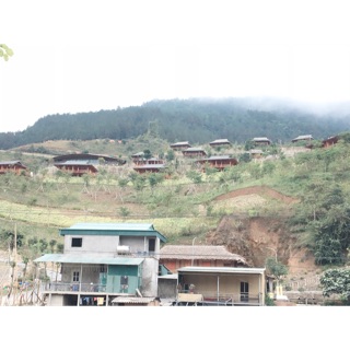 hongtuoi1005