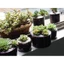 BTF Bình Hoa Đúc Khuôn Succulents Planter Nhựa Khuôn Thực Vật Pha Lê Epoxy Khuôn DIY Xà Phòng Khuôn