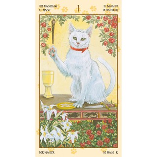 Bộ Bài Tarot of Pagan Cats (Mystic House Tarot Shop) - Bài Gốc Authentic Chính Hãng 100%