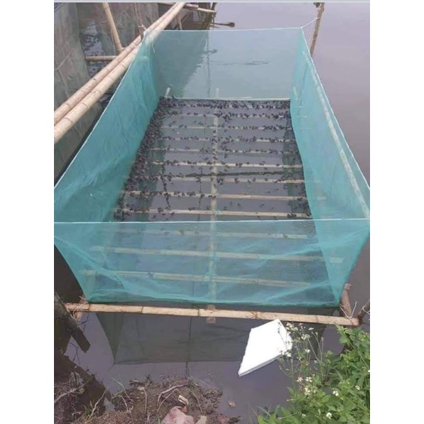 tráng lưới nuôi ếch,cá, ốc, bền chắc chắn máy 2 đường chỉ, có vành miệng chống bò
