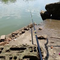 fishing95