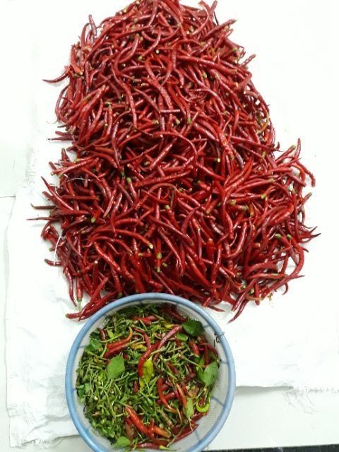 100g ớt bột Huế làm bằng tay - Đặc sản Huế