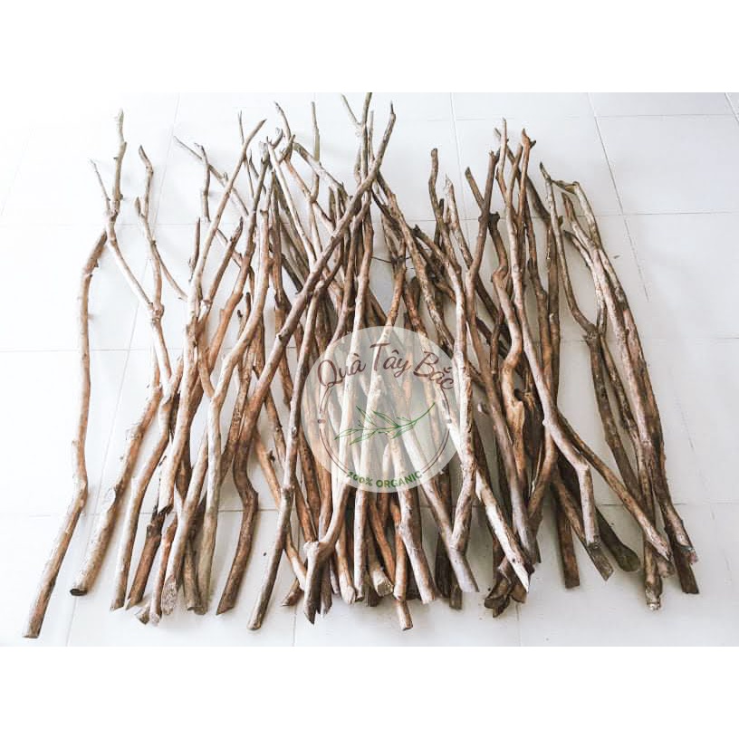 Cành củi khô Cành cây khô gỗ Quế tự nhiên Decor trang trí làm Macrame ...