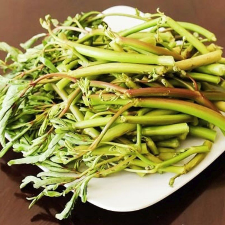 Hạt giống Rau Nhúc - Gói 1 gram ( Rau Nhút )MS770 | Shopee Việt Nam