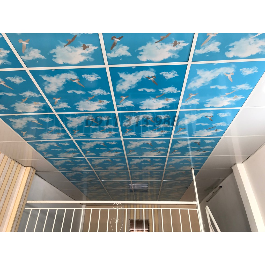 Các Mẫu Trần Nhựa 3D Đẹp