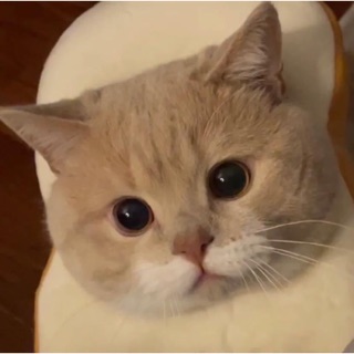 congphuong32