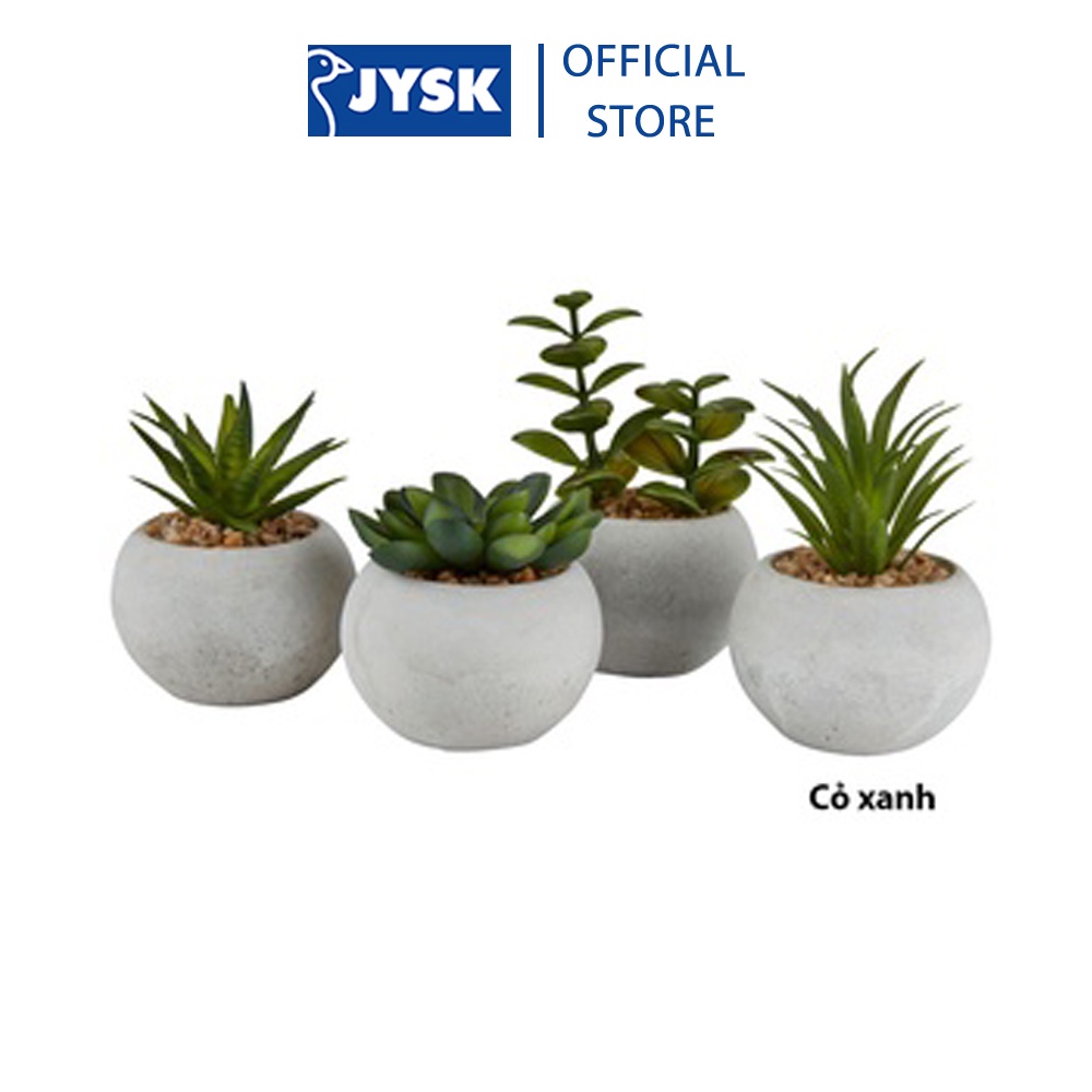 Ảnh Cây hoa trang trí |JYSK Bror | xi măng/nhựa | xanh/xám | DK7xC9cm 3