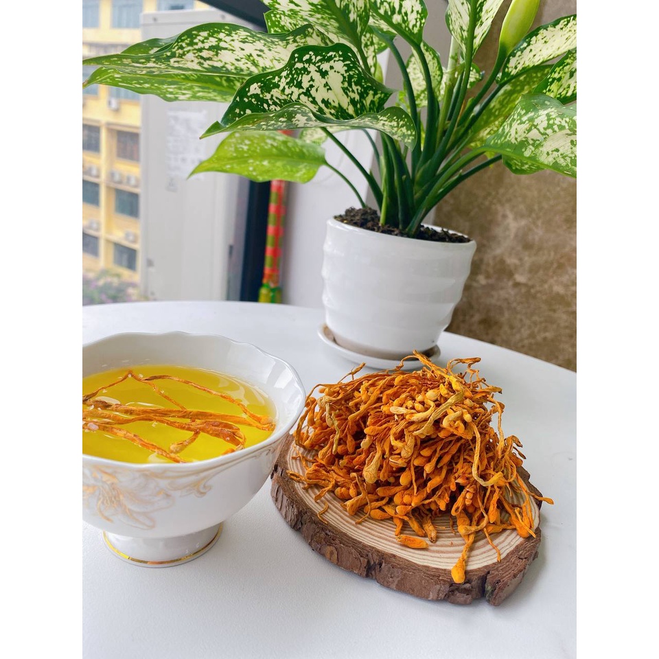 Ảnh Đông trùng hạ thảo thương hiệu Mộc Hương Sơn loại sấy khô 50gr sợi to ngon 3