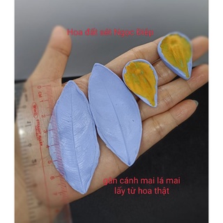 BỘ GÂN CÁNH LÀM HOA VÀ LÁ MAI lấy từ hoa thật