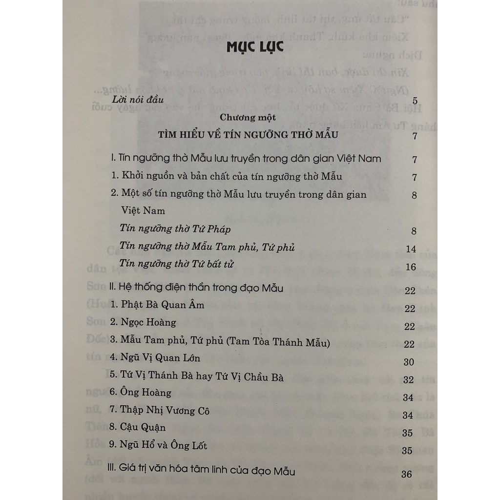 Ảnh Sách - Phong Tục Dân Gian - Nghi Lễ Thờ Mẫu 1