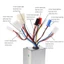 Bộ Điều Khiển Tốc Độ Động Cơ Chổi Than dc 24v 250w Cho Xe Đạp Điện