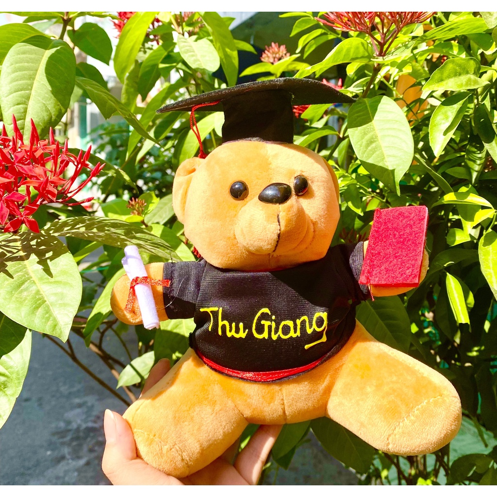 GẤU TỐT LÔNG MỊN KÈM TÚI KIẾNG VÀ NƠ