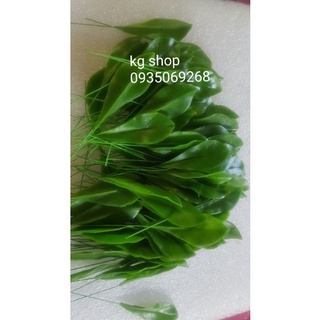 combo nụ và lá mai