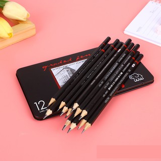 Bộ 12 Bút Chì Gỗ 2H-8B Chất Lượng Cao