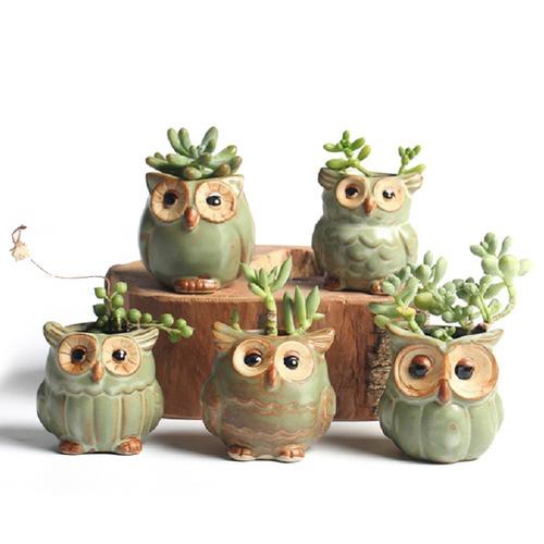 Chậu cây cảnh bằng sứ hình chim cú