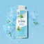Sữa Tắm St.Ives Dưỡng Da Body Wash