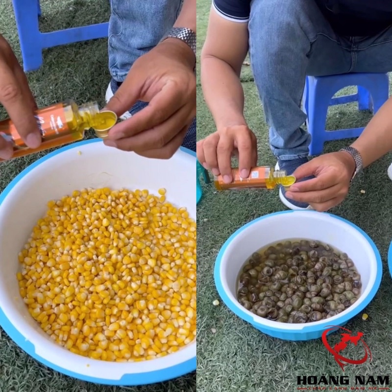 Nước Vàng - CNF