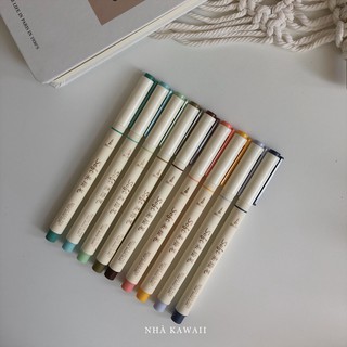 Bút brush calligraphy DS Soft Brush Sign Pen viết thư pháp hiện đại
