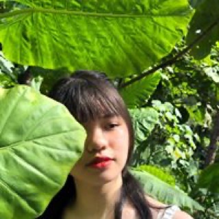 hienanh_phuong