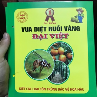 Bộ 10 miếng diệt ruồi vàng Đại Việt