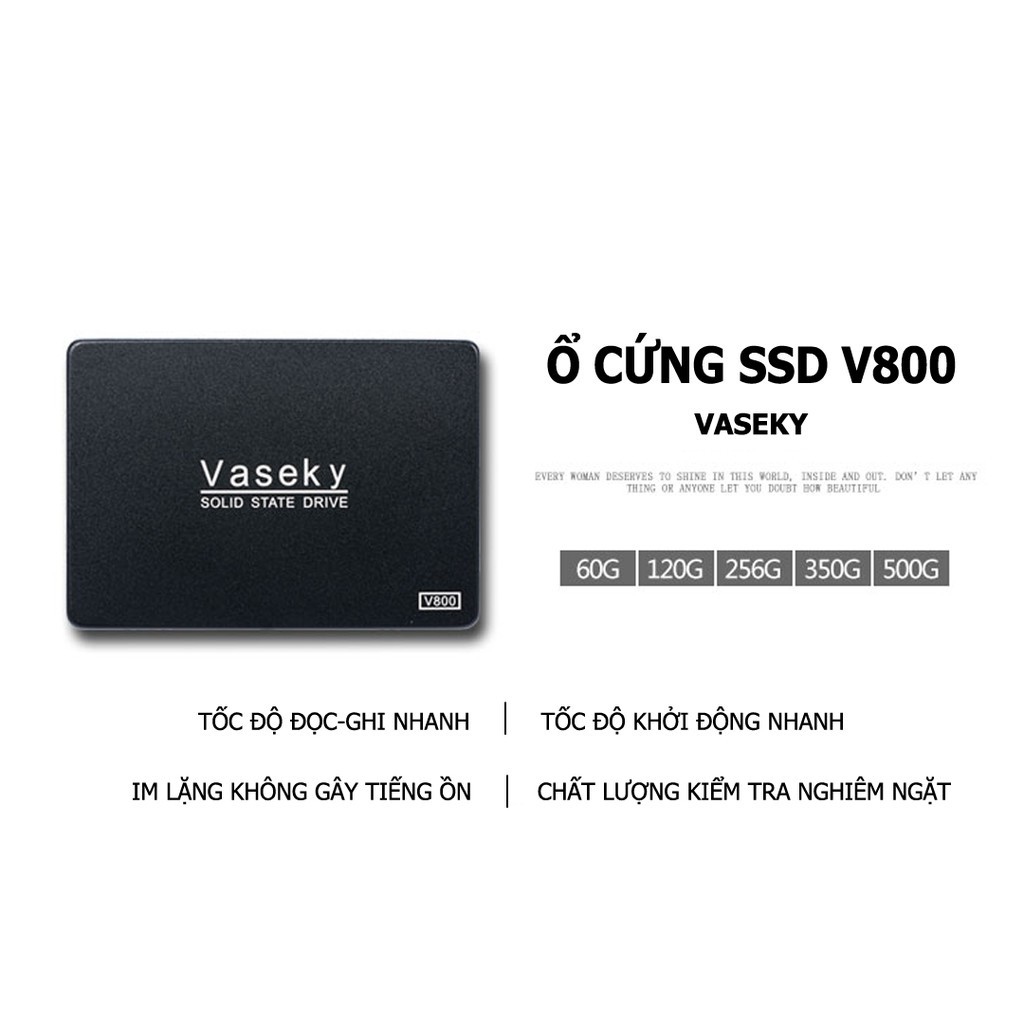 C Ng Ssd Vaseky V Gb B O H Nh Th Ng Shopee Vi T Nam