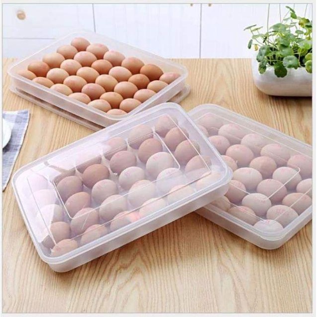 Hộp đựng trứng 24 quả có nắp đậy nhựa Việt Nhật (6786), khay bảo quản trứng không bị vỡ chắc chắn  aladanh-net-vn