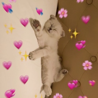 lengxinhhehe
