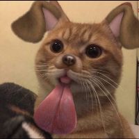 nhungbeomun