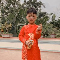 toannguyen250