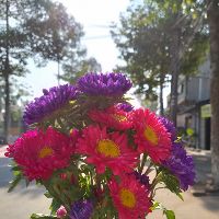 giang09101999