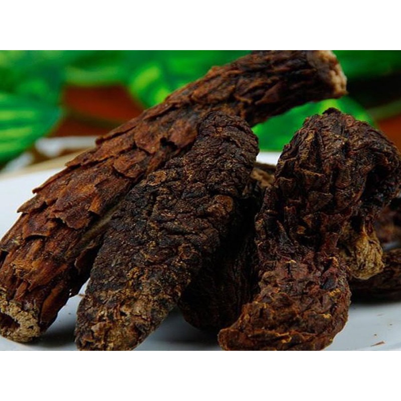 [THAPHACO] Nhục Thung Dung 100g Bổ Thận Tráng Dương