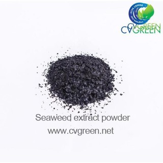Bột rong biển (Seaweed extract powder) dạng bột, vảy tan 100% (gói 1kg)