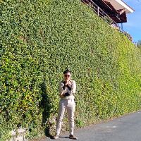 viet_hung_dinh