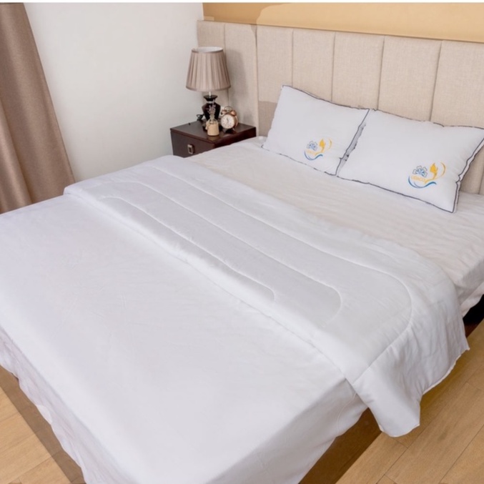 Ảnh Ruột chăn hè thu Lidaco mặt vải cotton chần bông tấm 3 lớp không vón cục kích thước 2mx2m2 2