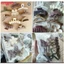 SET 10 CẶP TÓC CÀNG CUA - Phụ Kiện Tóc Dễ Thương Cho Bé Gái Và Nữ