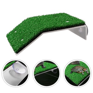 Nền tảng bò sát - Đảo leo rùa thực tế có dốc khô để trang trí bể cá & bể cá