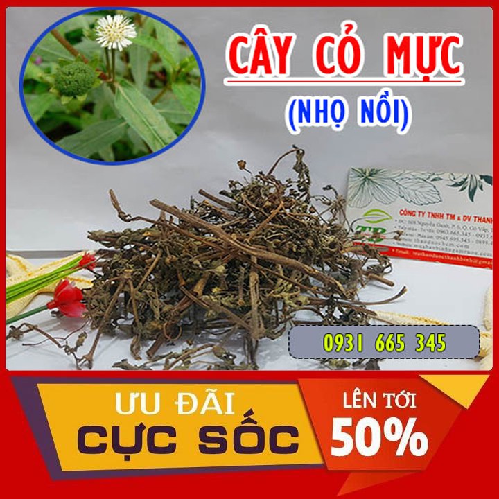 Các địa chỉ bán cỏ mực khô uy tín ở Hà Nội là gì?
