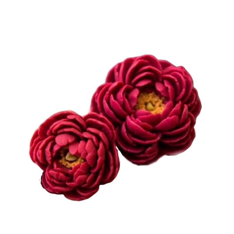 Set hoa pomson