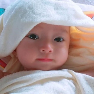 vuonhongtb